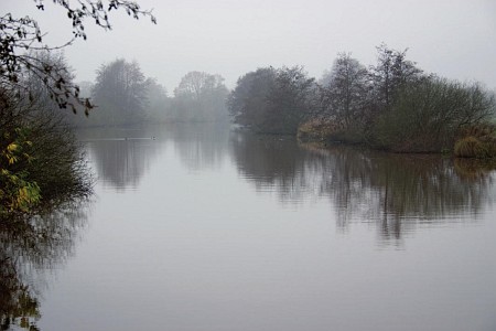 Foto zonder naam