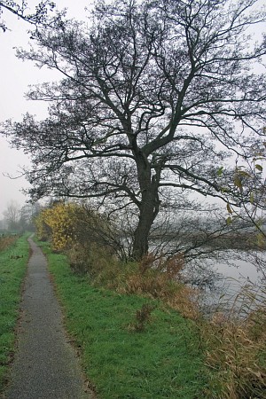 Foto zonder naam