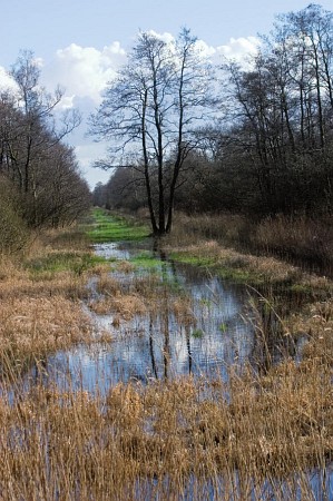 Foto zonder naam