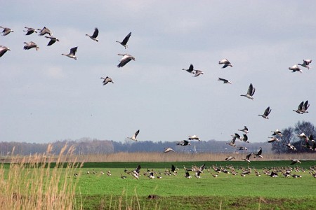 Foto zonder naam