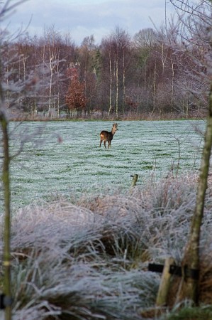 Foto zonder naam