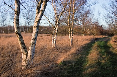 Foto zonder naam