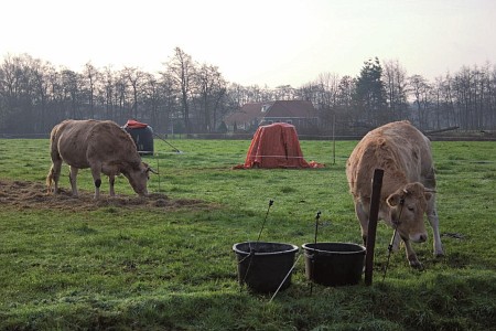 Foto zonder naam