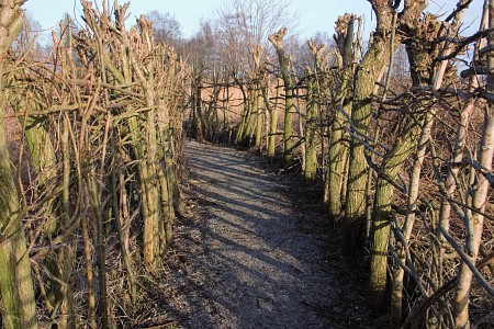 Foto zonder naam