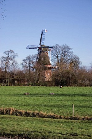 Foto zonder naam