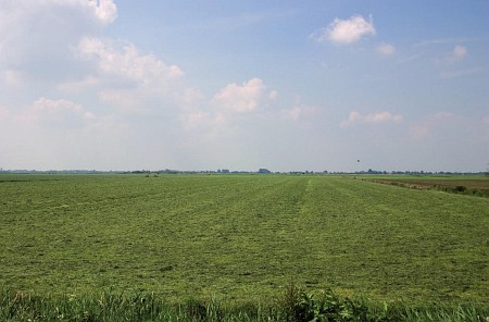 Foto zonder naam