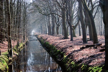 Foto zonder naam