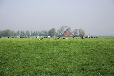 Foto zonder naam