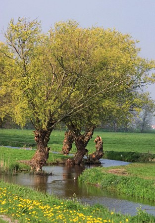 Foto zonder naam