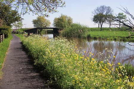 Foto zonder naam