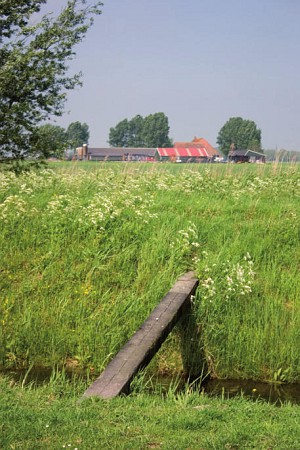 Foto zonder naam