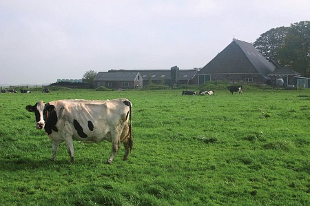 Foto zonder naam