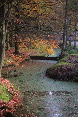 Foto zonder naam