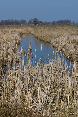 Foto zonder naam