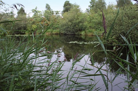 Foto zonder naam