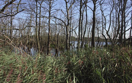 Foto zonder naam