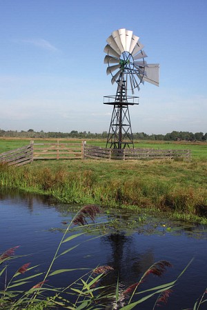 Foto zonder naam