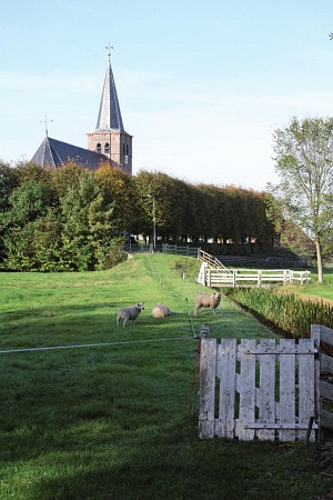 Foto zonder naam