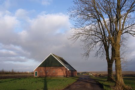 Buinerveen