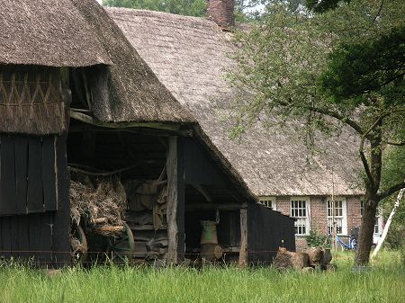 Foto zonder naam