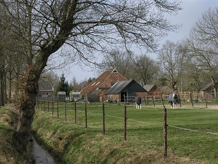 Steenbergen