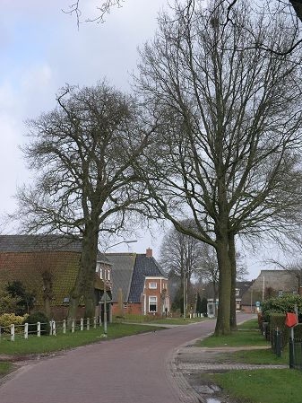 Steenbergen