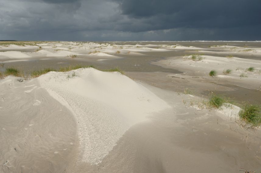 Stuifduintjes op Schier