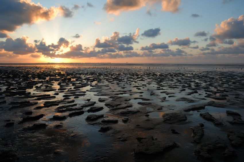 Wad bij Wierum tijdens zonsondergang