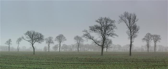 Foto zonder naam