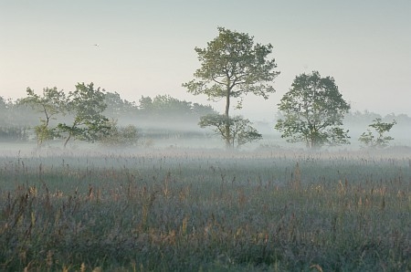 Foto zonder naam