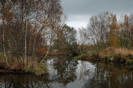 Foto zonder naam