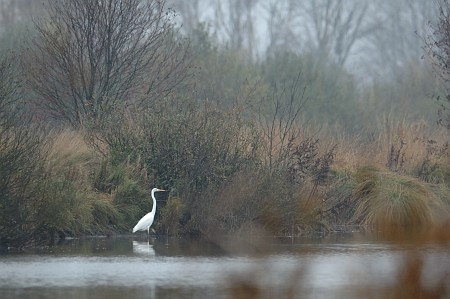 Foto zonder naam