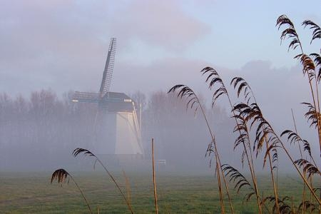 Foto zonder naam