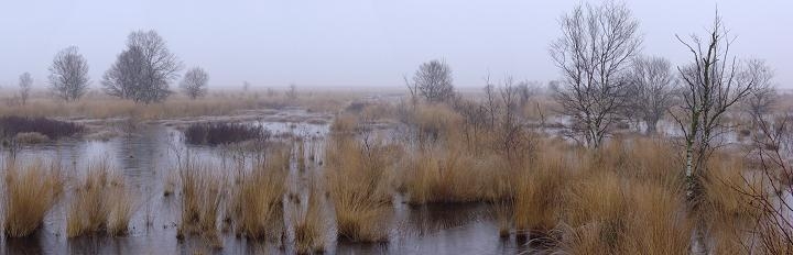 Foto zonder naam