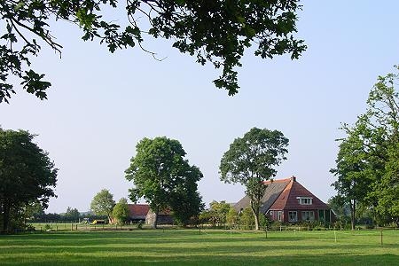 Foto zonder naam