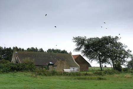 Foto zonder naam