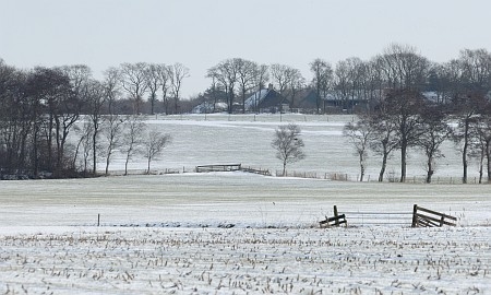 Foto zonder naam