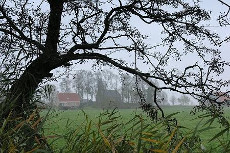 Foto zonder naam