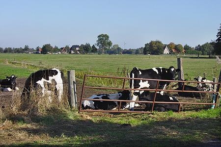 Foto zonder naam