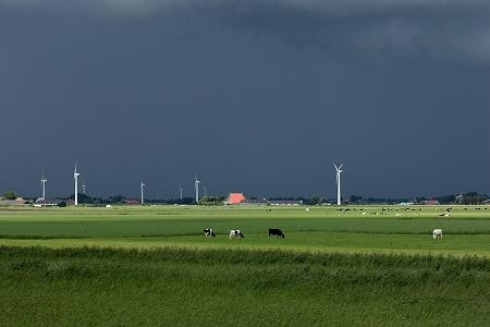 Foto zonder naam