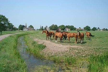 Foto zonder naam