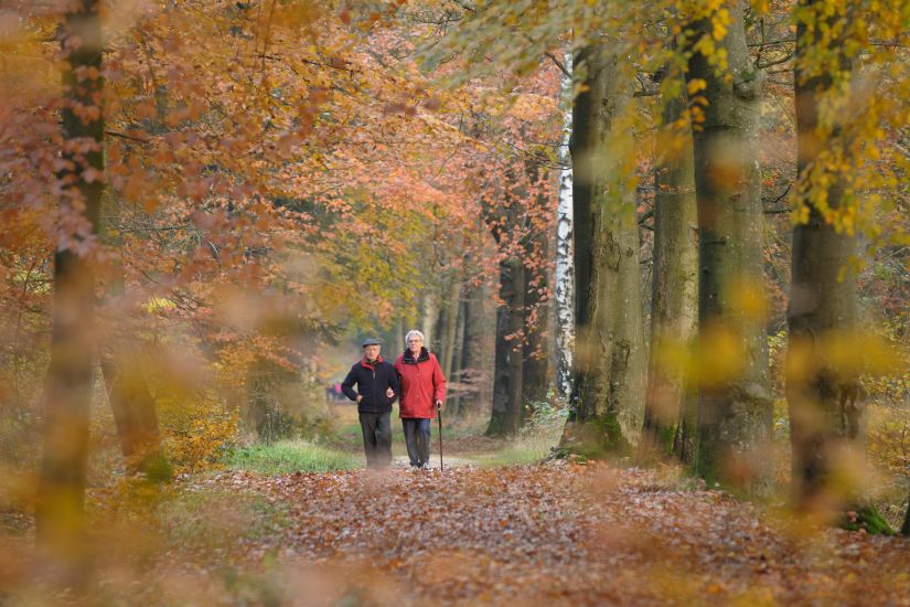 Herfstwandeling