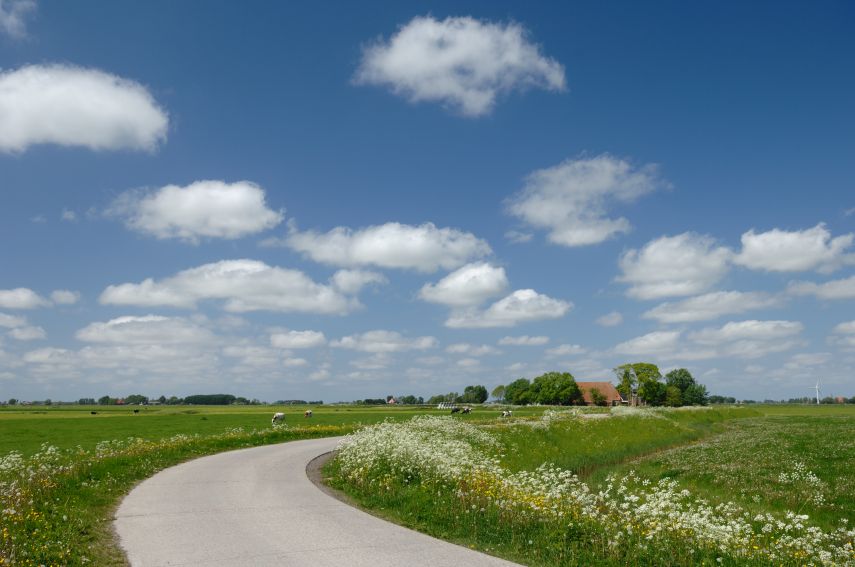 Slachtedyk in het voorjaar