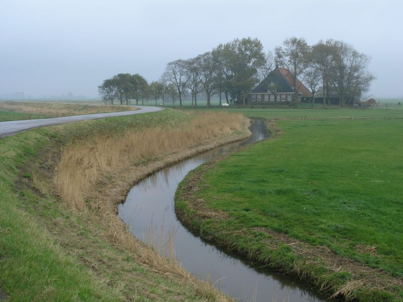 Stelp aan de Hemdijk