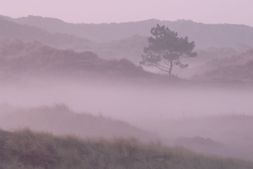 Nevel Terschelling