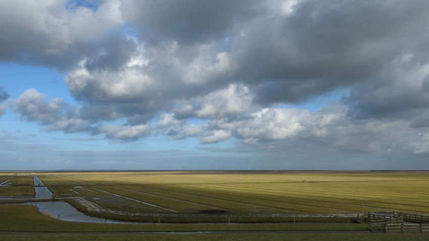 Noords Friesland buitendijks zomerpolder