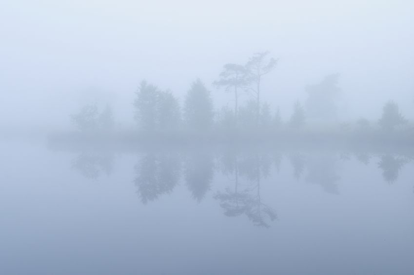 Mist in het Wijnjeterperschar