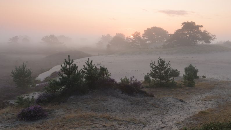 Nevel op het Aekingerzand 2