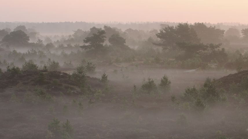 Nevel op het Aekingerzand