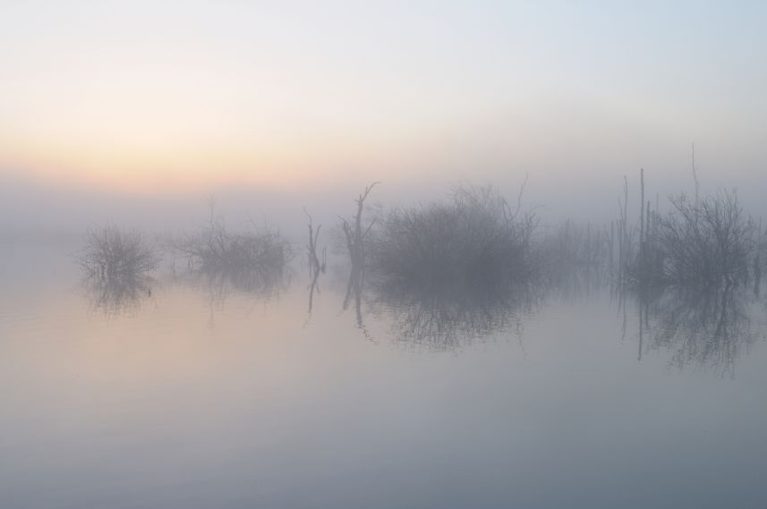 Ochtend in de Alde Feanen